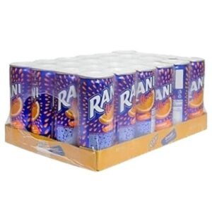 RANI ORANGE 240 ML X 24 PCS